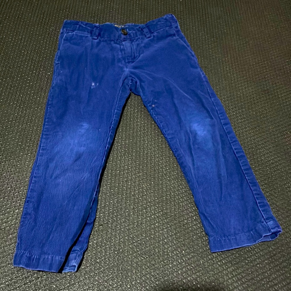 Boys' Polo Ralph Lauren royal blue Corduroy Pants-size 3t